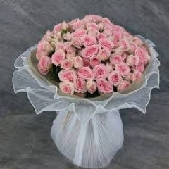 Seller Image